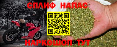 СК Уссурийск